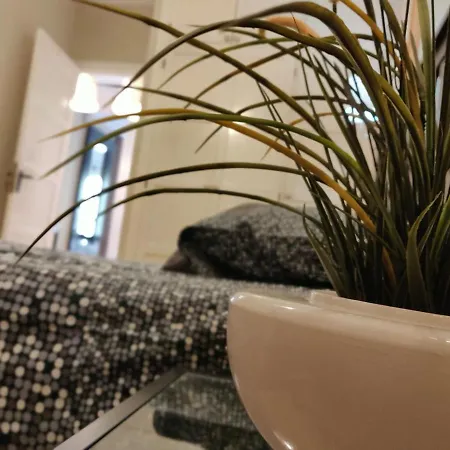 Orlando - Tenerife Sur